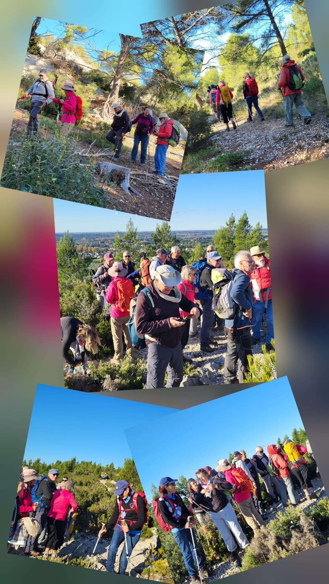 WhatsApp Image 2025 11 11 164238 d1f3c230